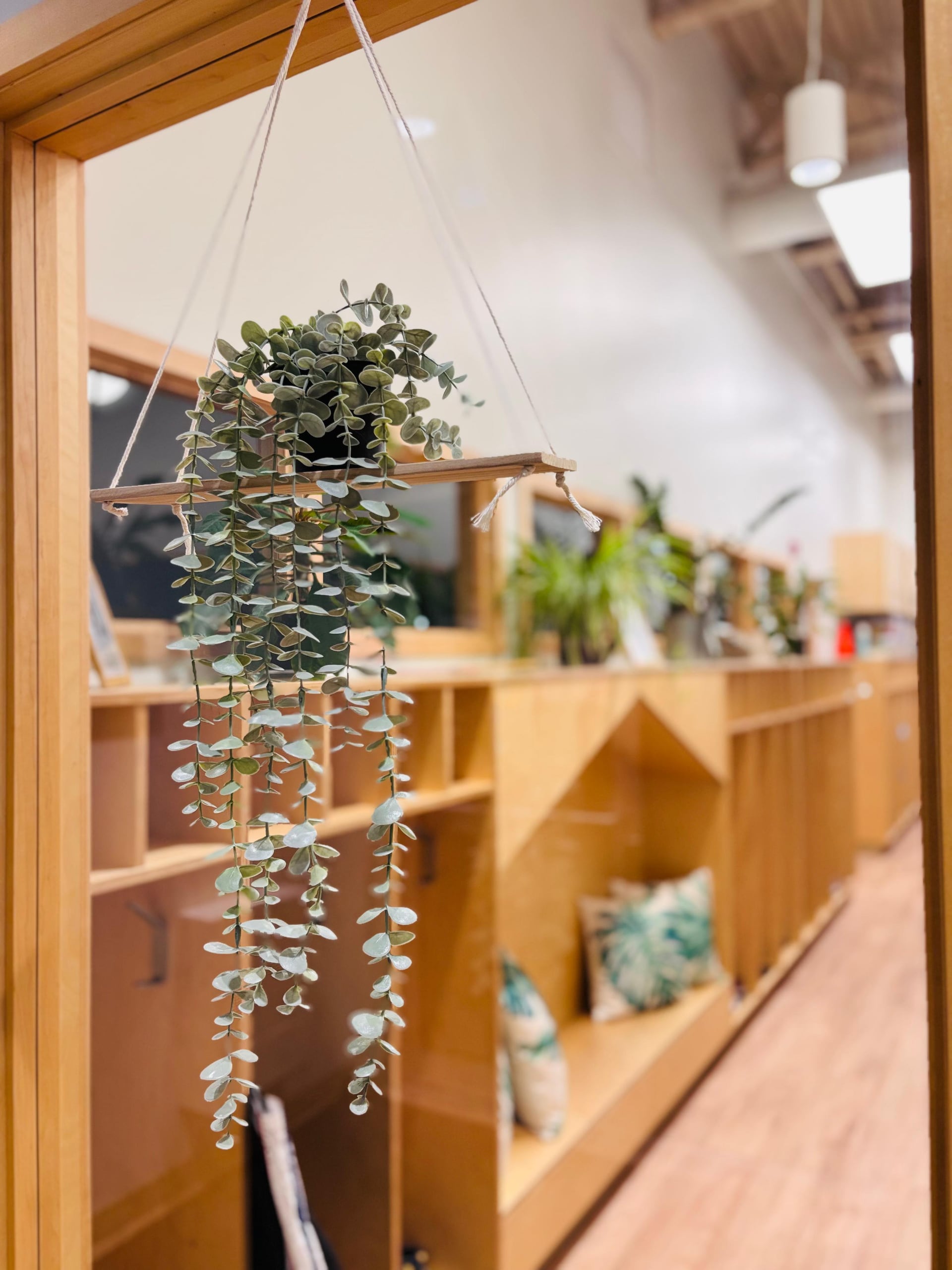 Greenery at the door to a quiet room